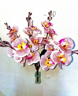 БК-233 Букет орхидеи натуральной  20/1шт